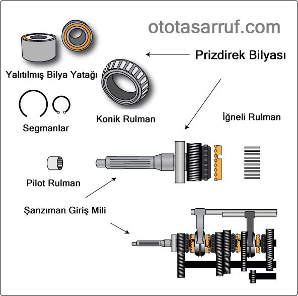 Prizdirek Bilyas Nedir?