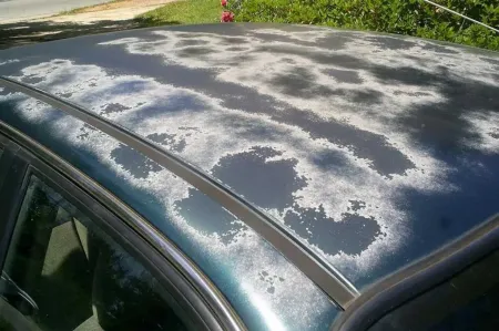 Clear Coat and Paint Damage on Car Roofs: Causes and Solutions