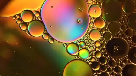 Yakıta Ne Kadar Su Karışırsa Bozulur? Zararları Nelerdir?