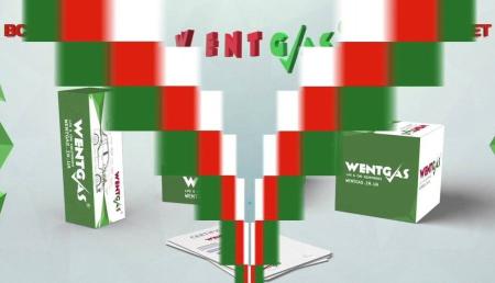 Wentgas Montaj Fiyatlar 2024