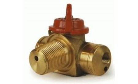 Zavoli CNG Tank Vanas