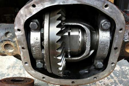 Diferansiyel Nedir? Diferansiyel Ar�za Belirtileri