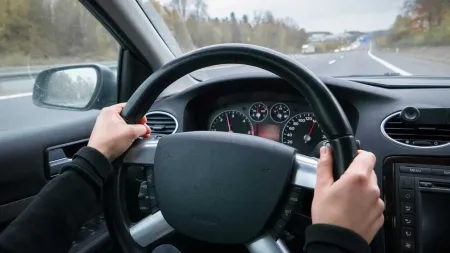 Direksiyon Bo�lu�u ve Nedenleri Nelerdir?