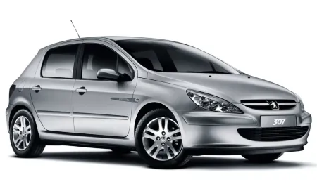 Peugeot 307 1.6 2005